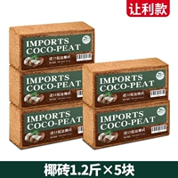 5 кокосовых кирпичей в твердой обложке