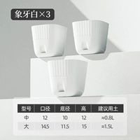 Ivory White [3 установки]