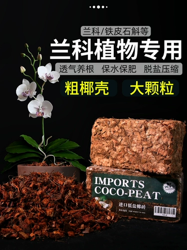 Кокосовая ракушка Кокосовая кирпичная кирпичная кирпичная орхида