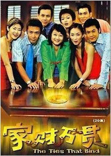 DVD machine version [Home Finance Slam] Zheng Xiuzhen Zheng Binhui 20-episode 2 discs