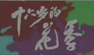 Support DVD < sixteen-year-old Playquarter > warrior Qiaoping 2 discs