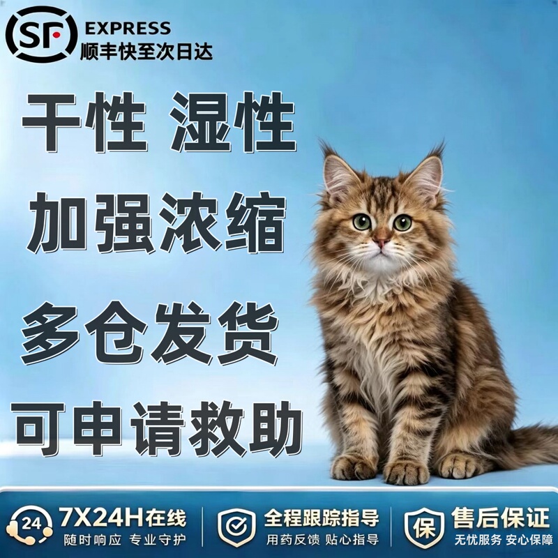 Cat Oral Medication Tablets, Oil, Liquid, Wet and Dry Nutritional Solution for Big-Belly Cats, Universal, Fast Delivery Via Sf Express Cat Oral Medication Tablets, Oil, Liquid, Wet and Dry Nutritional Solution for Big-Belly Cats, Universal, Fast Delivery Via Sf Express