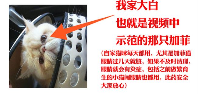 Mũi mèo, thuốc nhỏ mắt mèo, cảm lạnh cho mèo, hắt hơi, sổ mũi, chảy nhiều nước mắt, thuốc nhỏ mắt, thuốc nhỏ mắt, thuốc nhỏ mũi - Thuốc nhỏ mắt