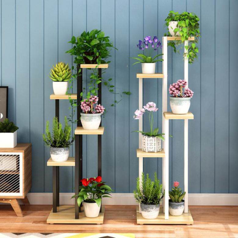 Bonsai plants next to the indoor TV cabinet next to the small potted flower rack Florist display iron frame background wall Mini 