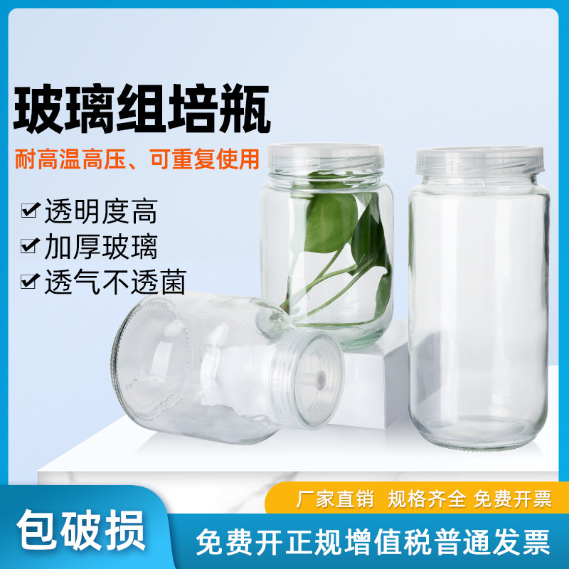玻璃组培瓶 玻璃透气培养瓶195/240/350/650/730/1000ml植物组织玻璃瓶 菌瓶虫草育苗瓶 耐高温水培瓶