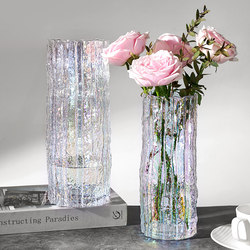 ins Nordic Style Simple Trendy Glass Vase with Iridescent Hydroponic Plants and Flowers for Living Room Decoration and Flower Arrangement