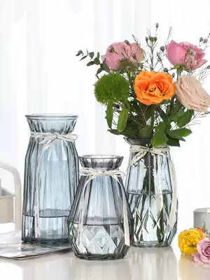 (Two-piece set)Glass vase Color transparent hydroponic rich bamboo lily flower vase Living room flower arrangement ornaments
