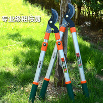 High Branch prunes Prunes Scissors Gardening Scissors High Branches Cut Telescopic Poles High Altitude SK5 Shrub Tree Fruit Tree Cut Branches Cut fruit branches