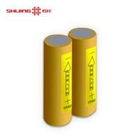 石井 Вместительные и большые литиевые батарейки с зарядкой, 6v