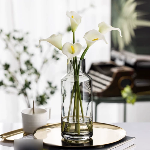 Скандинавская современная минималистичная ваза на столешнице для гостиной, обеденного стола, прозрачная цветочная композиция, поднятая водой, декоративные украшения, легкая роскошная стеклянная ваза