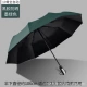 Увеличьте двойной 10-костный автоматический зонтик зеленого цвета
