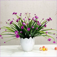 Милан Цветы/Роза красный