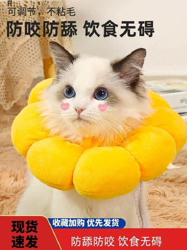 Элизабет Кэт Кот Кэт Абс Круг Круг Анти -гибкий короткий кот короткий кошачий кружок Круг Круг Круг Дог ПЭТ -продукты