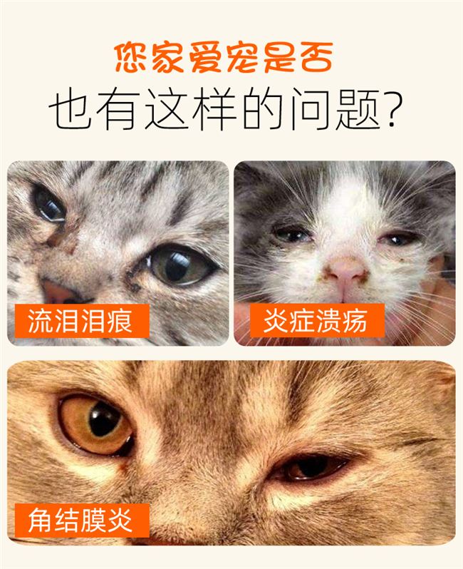 Meow drops thuốc nhỏ mắt cho chó mèo sạch thuốc nhỏ mắt dạng lỏng kháng khuẩn cho mèo Garfield with Thai fun - Thuốc nhỏ mắt