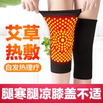 Wormwood knee pads cover to keep warm old cold legs hot compress men and women joint paint self-heating summer thin cold artifact