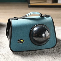 Космическая кошачья чернила зеленая модель