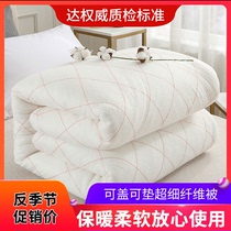 Bedding cotton quilt cotton mattress quilt 10kg student quilt Winter boy thick warm 12kg