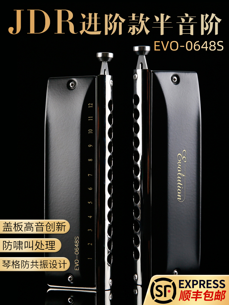 JDR Gardenery halftone harmonica harmonica 12 holes C tune Evo-0648s into the class adult beginner professional play