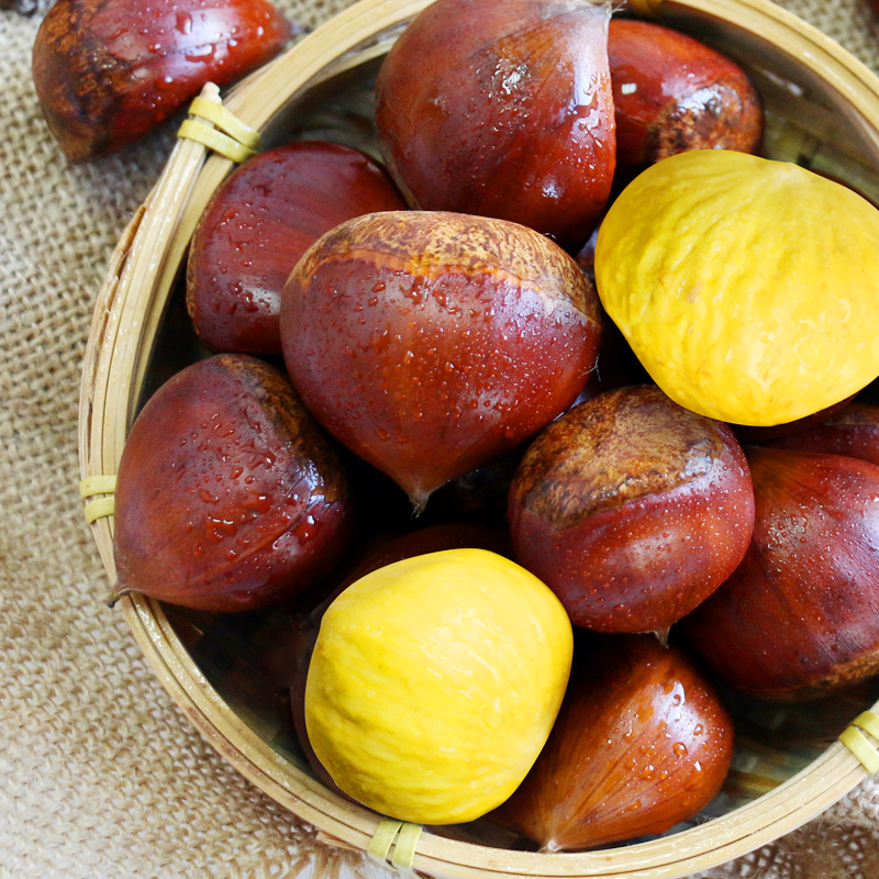 正宗丹东板栗当季新货新鲜板栗栗子高山农家毛栗子净重2.8/4.8斤