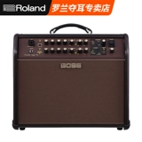 Roland Boss ACS Acoustic Singer Live/Pro Guitar Electric Box Mandarin фортепиано пианино