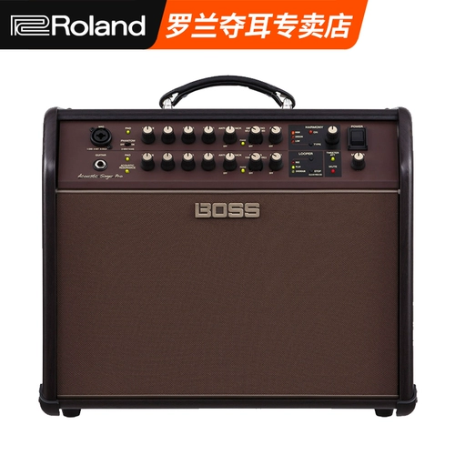 Roland Boss ACS Acoustic Singer Live/Pro Guitar Electric Box Mandarin фортепиано пианино