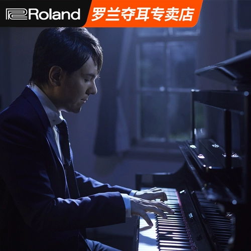 Профессиональный синтезатор, элитное цифровое пианино, HP704, 88 клавиш