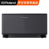 Roland Roland Cube Lite народная гитара