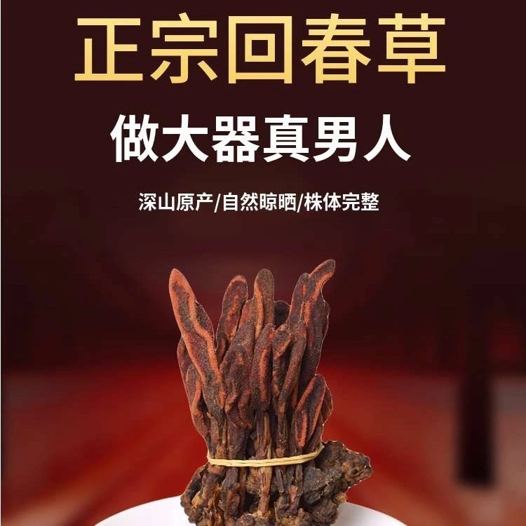 Huichun grass Ding Tianzhu Wild Huixin grass Male tonic Premium tea Warm kidney Yang bubble wine material Chinese Herbal medicine