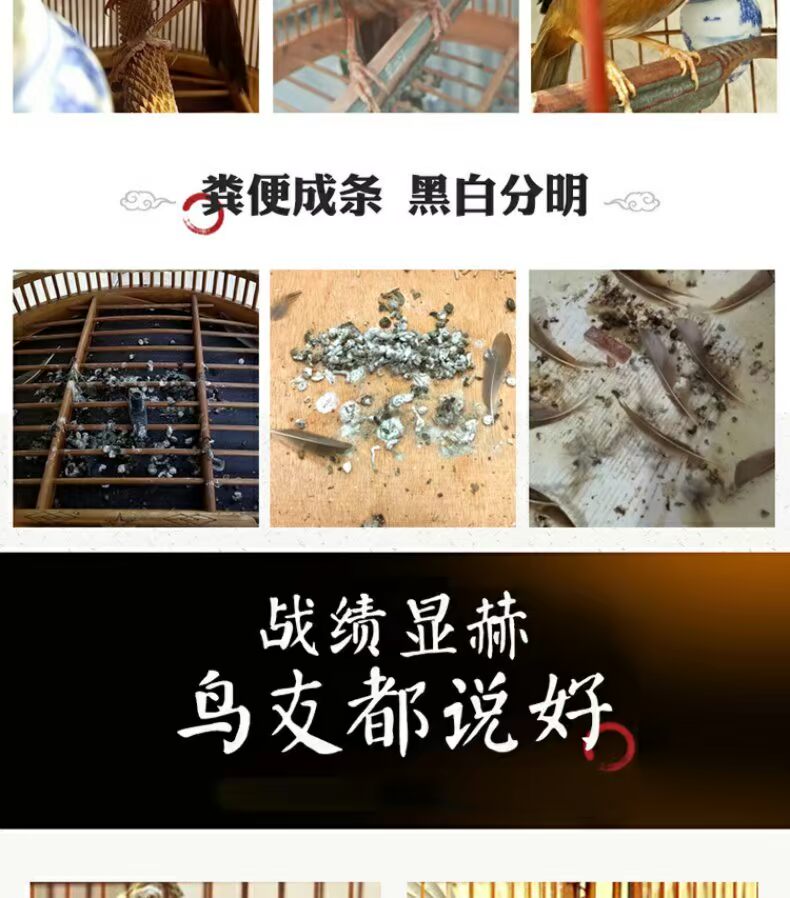 Thrush chim thức ăn thức ăn cho chim thức ăn cung cấp chim mynah lark thức ăn chim chiến đấu vật chất chim nâng quan hệ tình dục chim hót chim cộng với côn trùng - Chim & Chăm sóc chim Supplies long chim cu