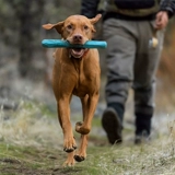 拉夫威尔 Плавающие игрушки натурального каучука