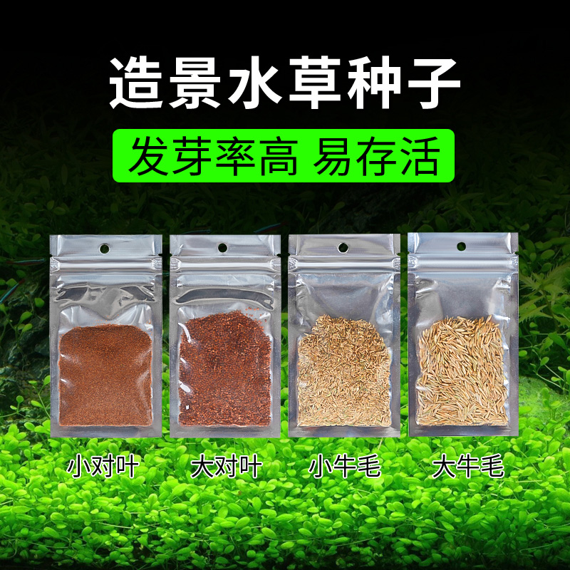 Fish tank water plant seeds Fish tank landscaping leaf-to-leaf water plant mud Real water plant Lazy water plant seeds Cow hair water plant plant
