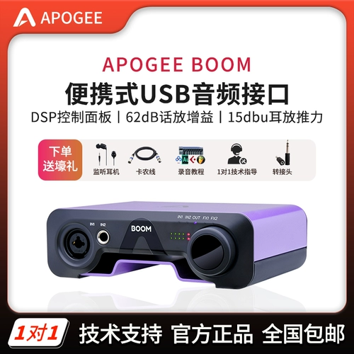 Apogee Boom Professional Recording Mixcing Broadcast Live Trobvate K Song DSP из Internal Record 2 из USB -внешней звуковой карты