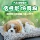 Bộ sưu tập đầy đủ các vật dụng trang trí ô tô, phụ kiện ô tô, chó mô phỏng dễ thương, túi than tre trong ô tô, đồ trang trí ô tô cá tính sáng tạo nệm hơi chống loét