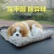 Bộ sưu tập đầy đủ các vật dụng trang trí ô tô, phụ kiện ô tô, chó mô phỏng dễ thương, túi than tre trong ô tô, đồ trang trí ô tô cá tính sáng tạo nệm hơi chống loét 