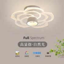 Petals Master Bedroom Ceiling Light Balcony Entrance Corridor Aisle Living Room Chandelier Kitchen Bathroom Modern Simple