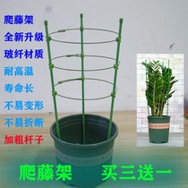 Climbing Vine Flower Shelf Gardening Pillar Rack Balcony Green Crescent Moon Season Iron Thread Lotus Root Flowers Plant Climbing Flower Bracket