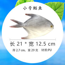 Simulated fish model tropical fish fake red and gray carp crucian carp flat fish toy tuna marine animal decorative props