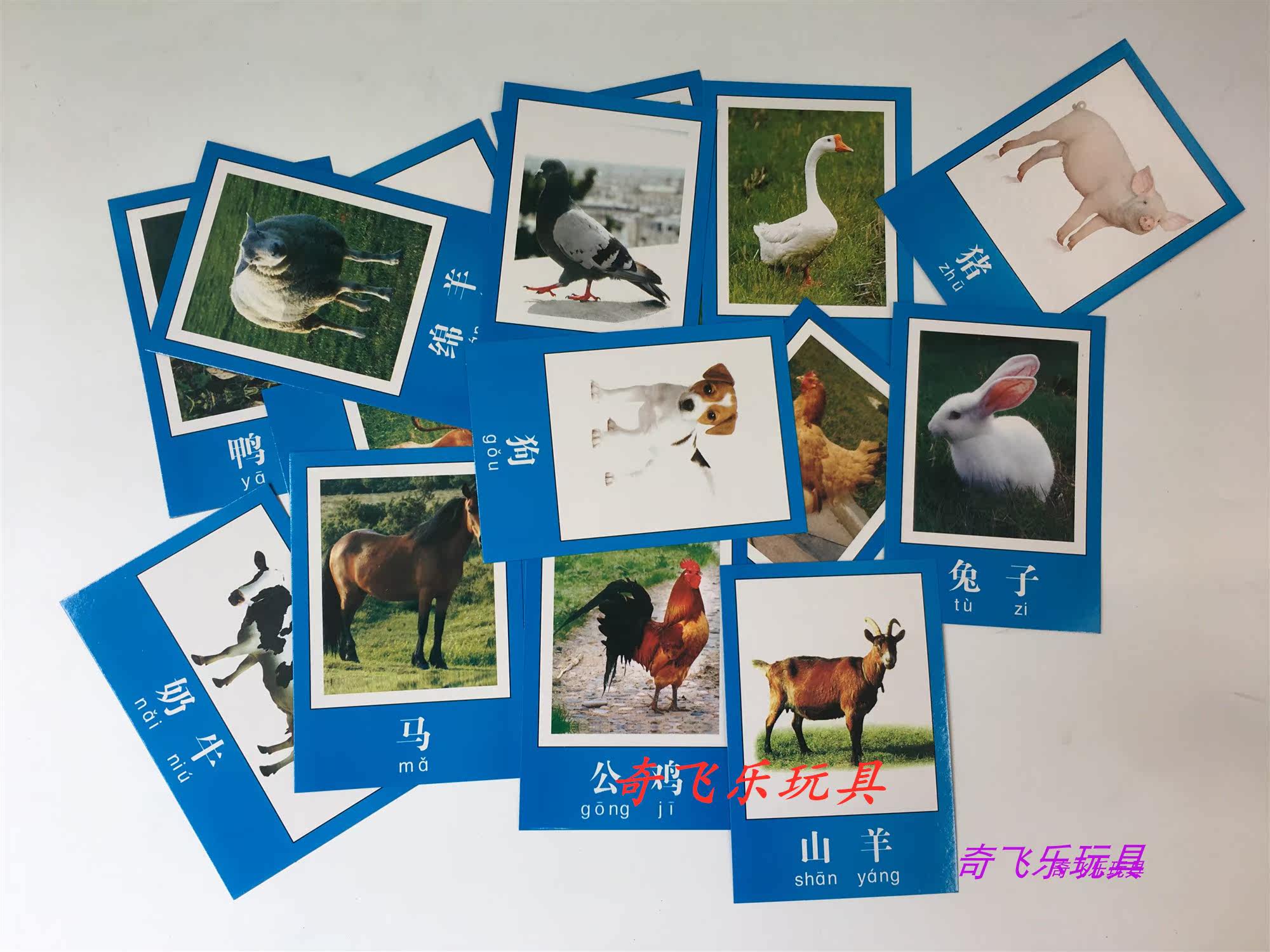 Promotion Poultry Animals pictures Children early education Cognitive Cards Common Livestock Cards Kindergarten Puzzle Aids Cards