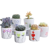 Плохой горшок с крупным калибром крупно -калибра Мясо