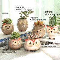 6 кусочков мультфильмов Совы Полиноты