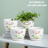 Четыре средних цветовых цветов оленей