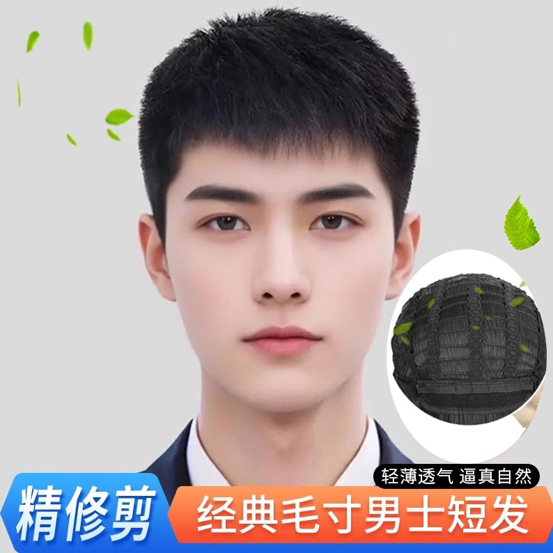 Men's Short Hair Wig, Full Real Hair, Full Head Wig, Men's Hairpiece, Stylish, Natural, Fluffy, Breathable, Realistic