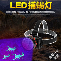 Photos Scorpion Special Lamp Super Bright Scorpion Lamp Catch Scorpion Headlights Purple Light Headlights LED Intense Light Afar charging headsets