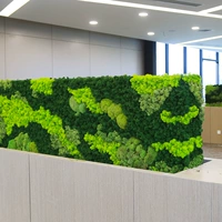 Модель индивидуального уровня Moss/один квадратный метр