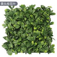 Huangtou Osmanthus Leasting [50*50 см]