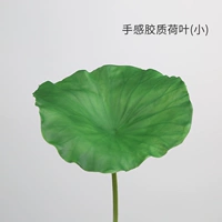 Lotus Lotus Lotus (маленький)