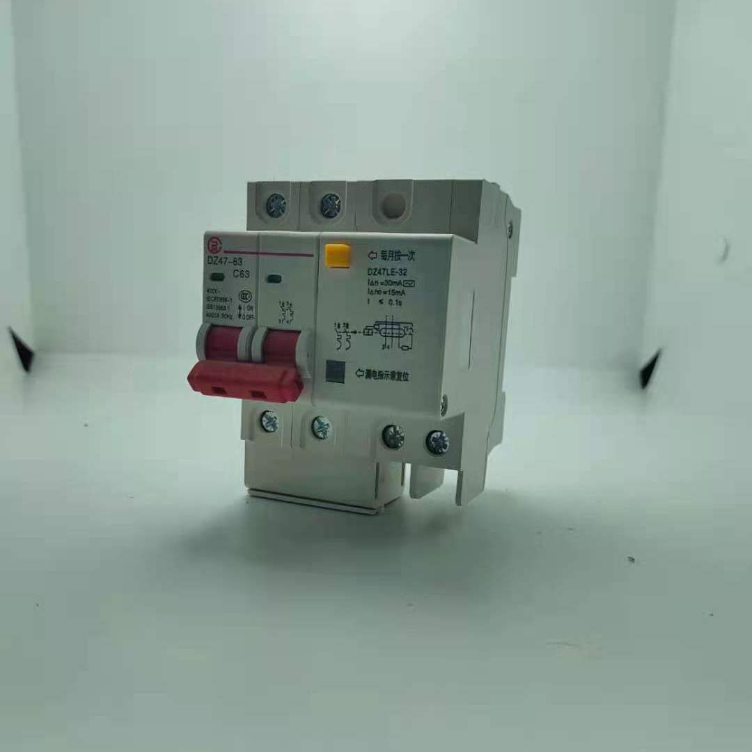 Shanghai People Power leakage switch DZ47LE 2P63A Domestic macroporous earth leakage protector air open