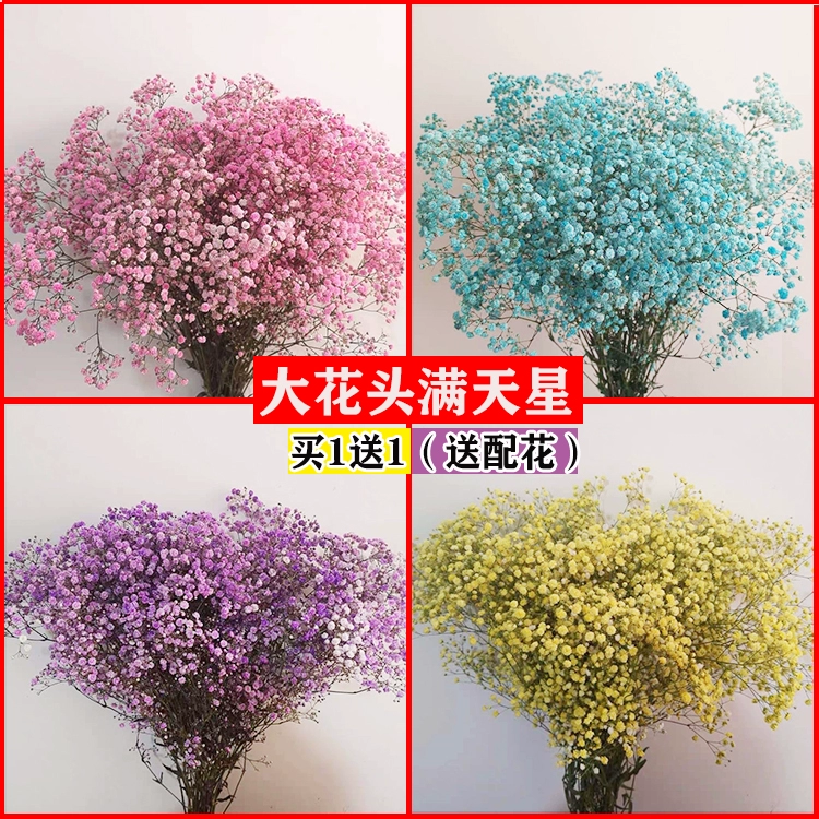 Mua 1 tặng 1 bó hoa gypsophila khô lớn - Trang trí nội thất