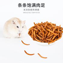 Hamster Bread Worm Dry 500ml Snacks Hedgehog Food Supplies Gold Silk Bear Nutritional Feed Main Grain Boutique