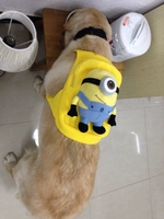 Желтый, модернизированная версия